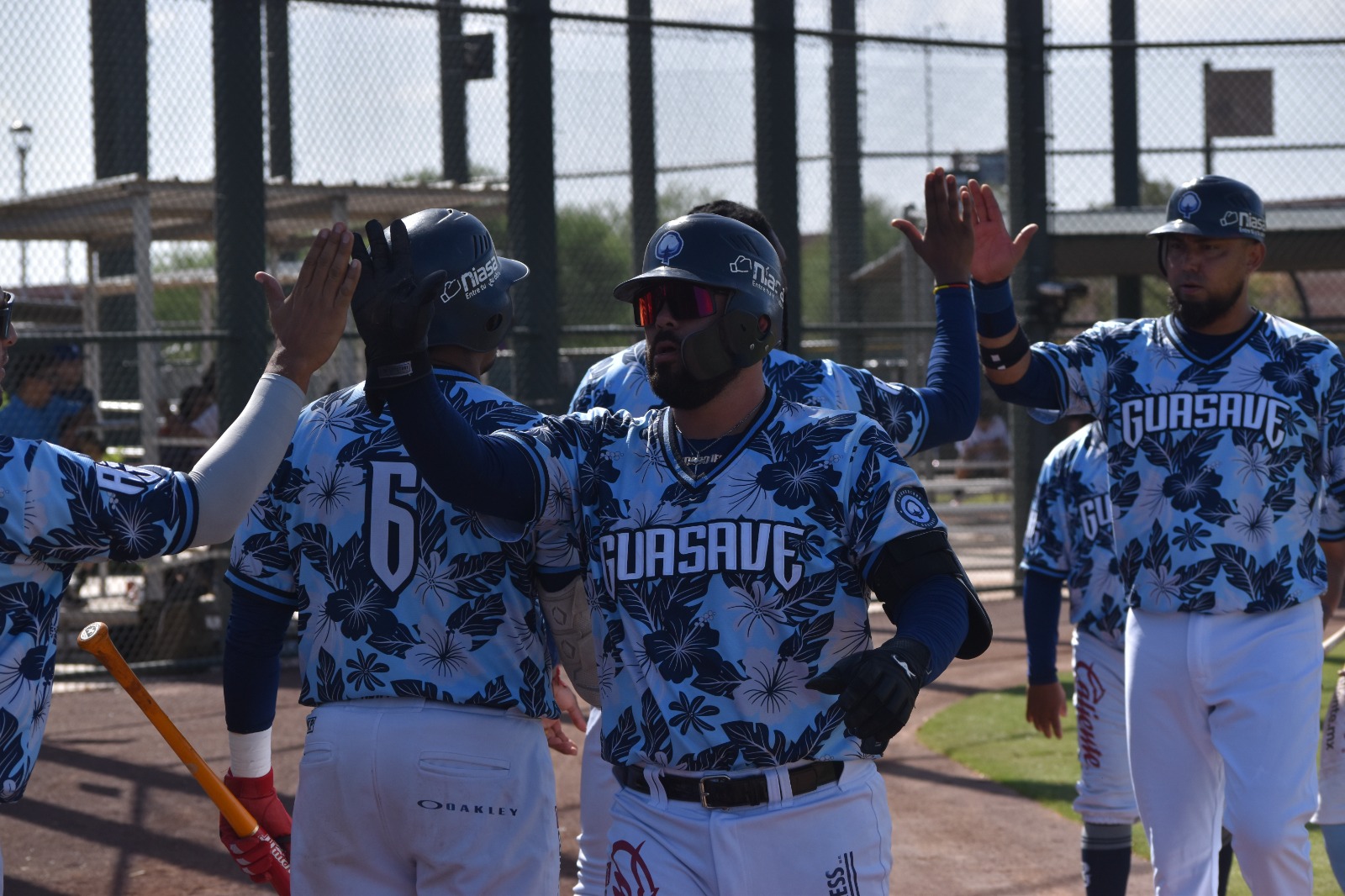 ALGODONEROS DE GUASAVE
