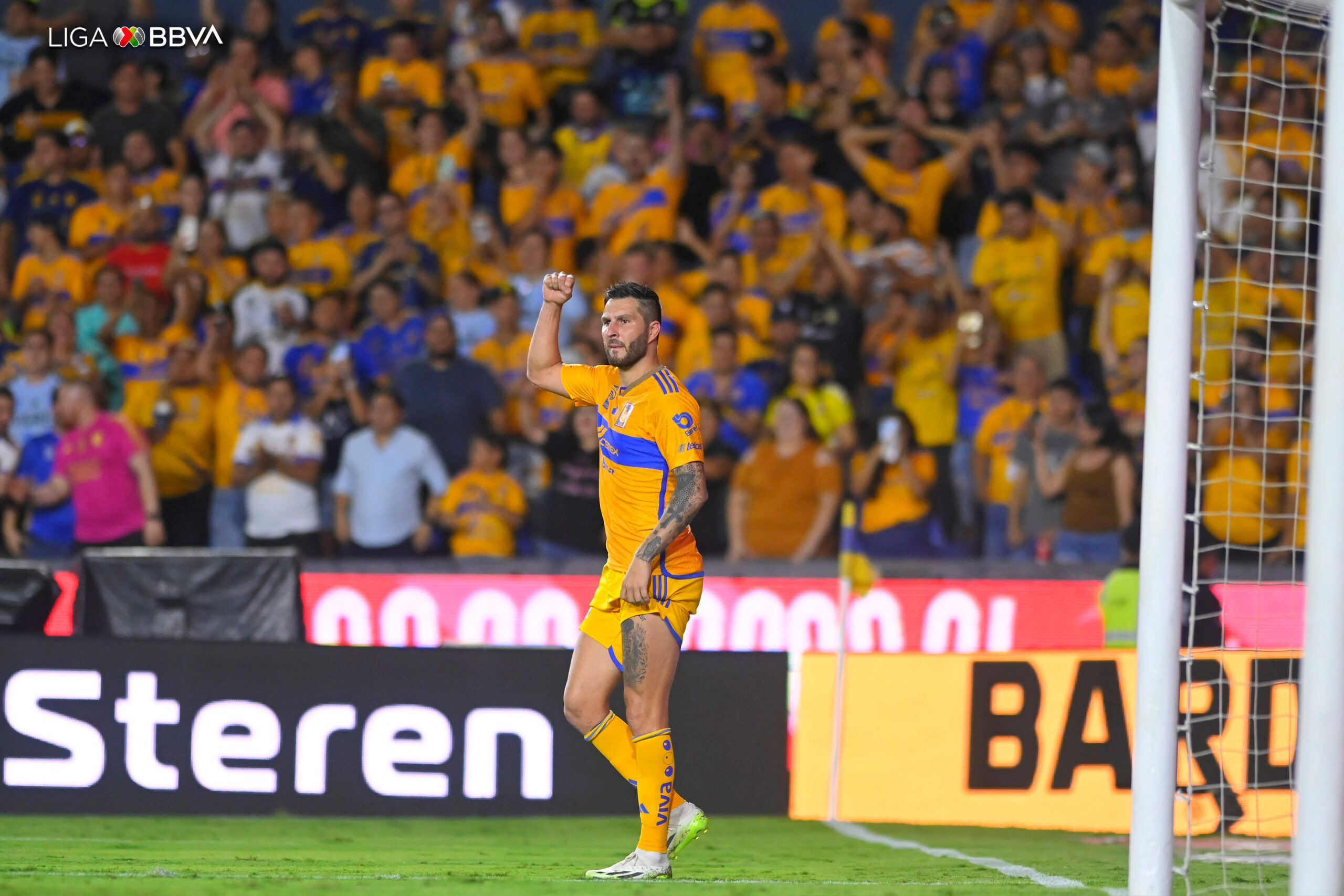 Andre-Pierre Gignac Tigres