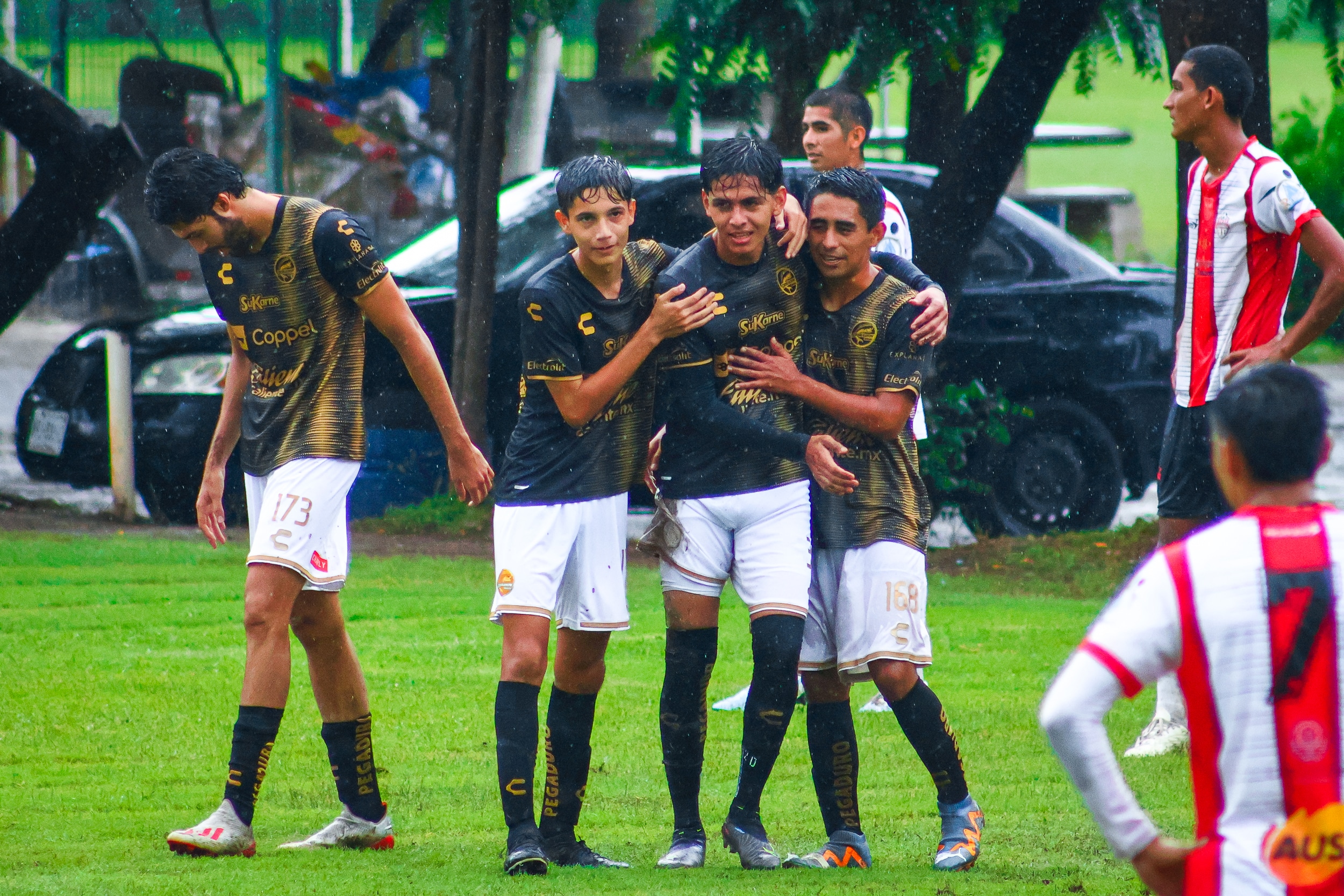 DORADOS DE TERCERA DIVISIÓN