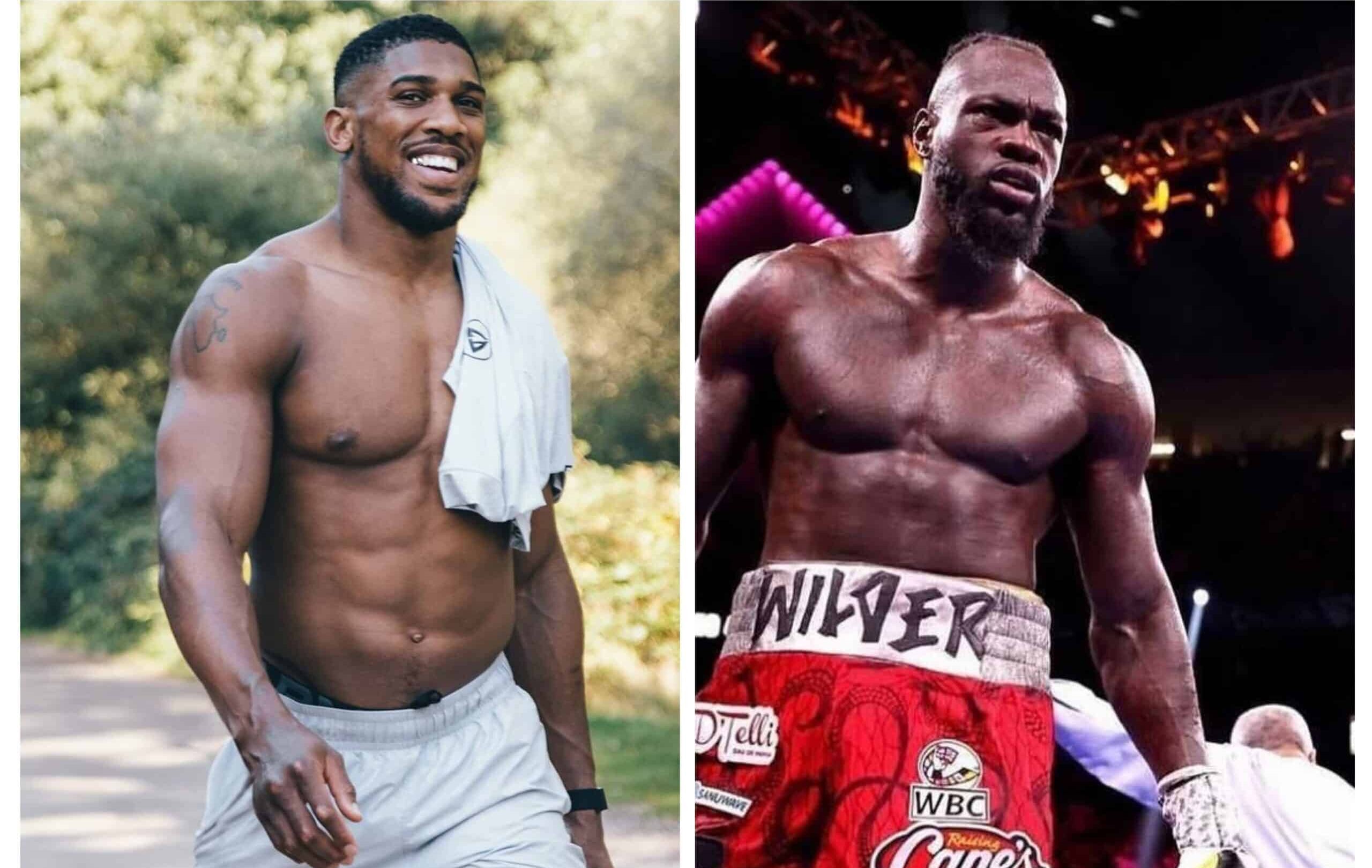 ANTHONY JOSHUA A LA IZQUIERDA, Y DEONTAY WILDER A LA DERECHA