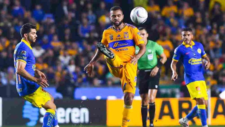 TIGRES EN DISPUTAS DE CALIDAD