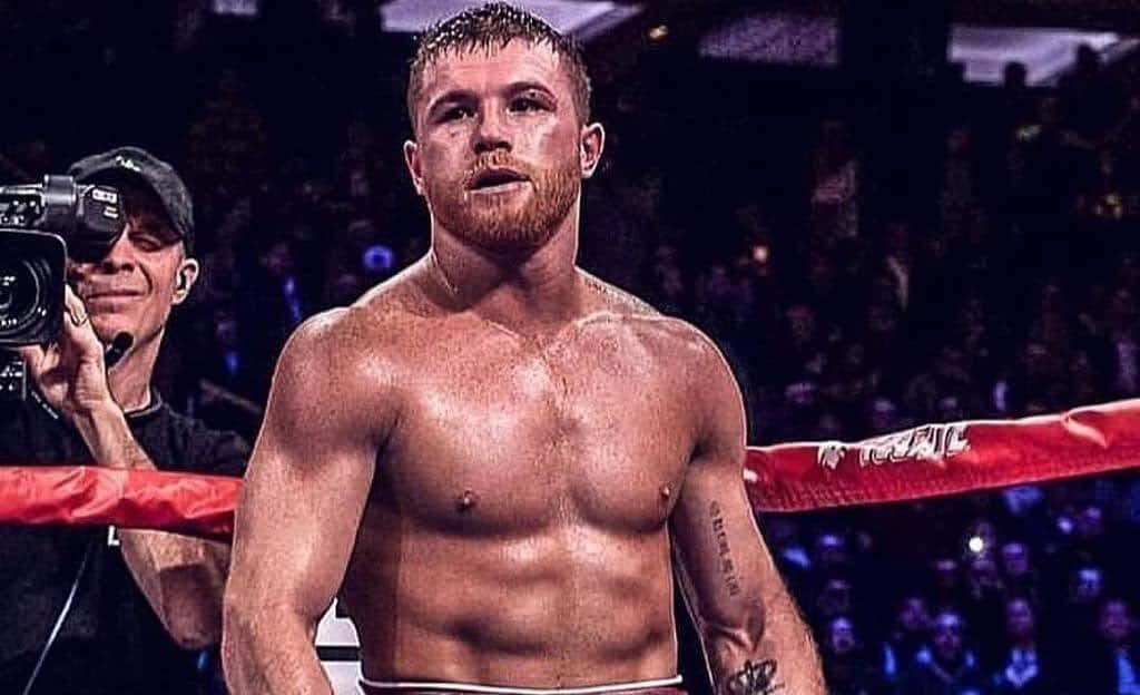CANELO ÁLVAREZ DURANTE UNA PELEA DE BOXEO
