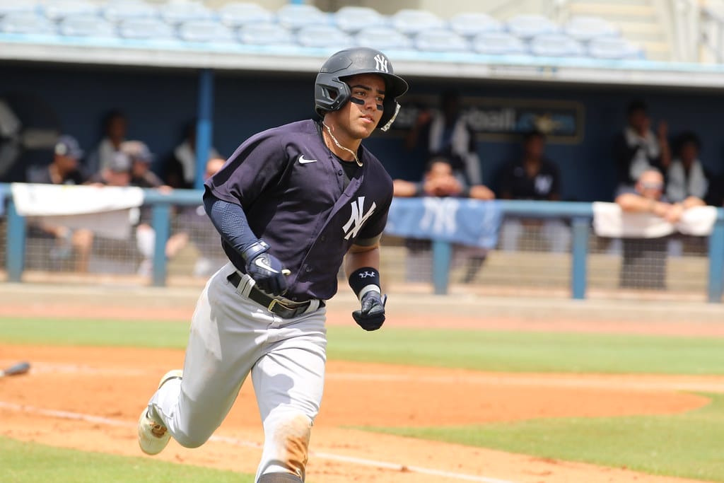 SERDA ES UNA IMPORTANTE PROMESA DE LOS YANKEES