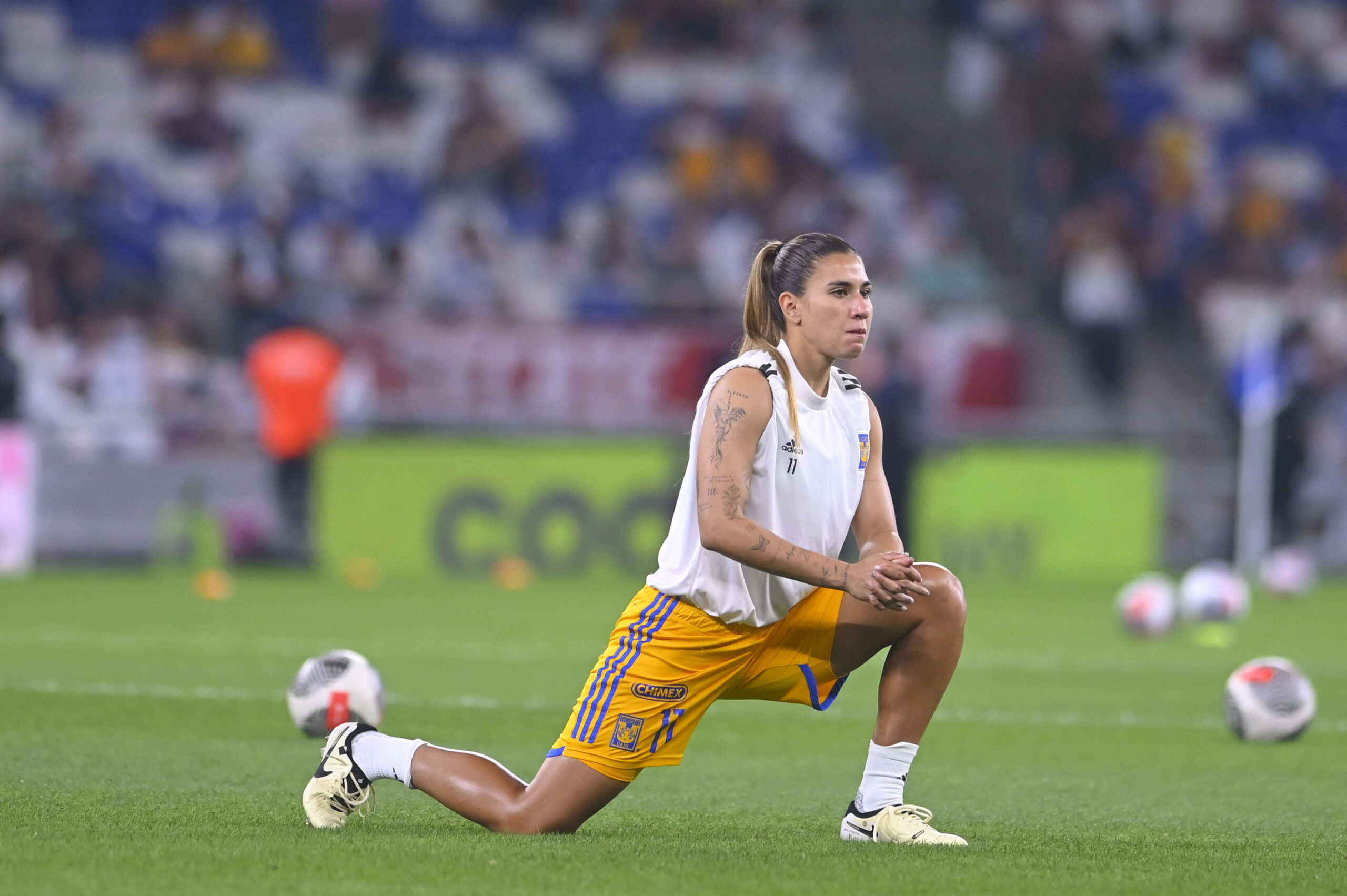 RANGEL TIGRES24