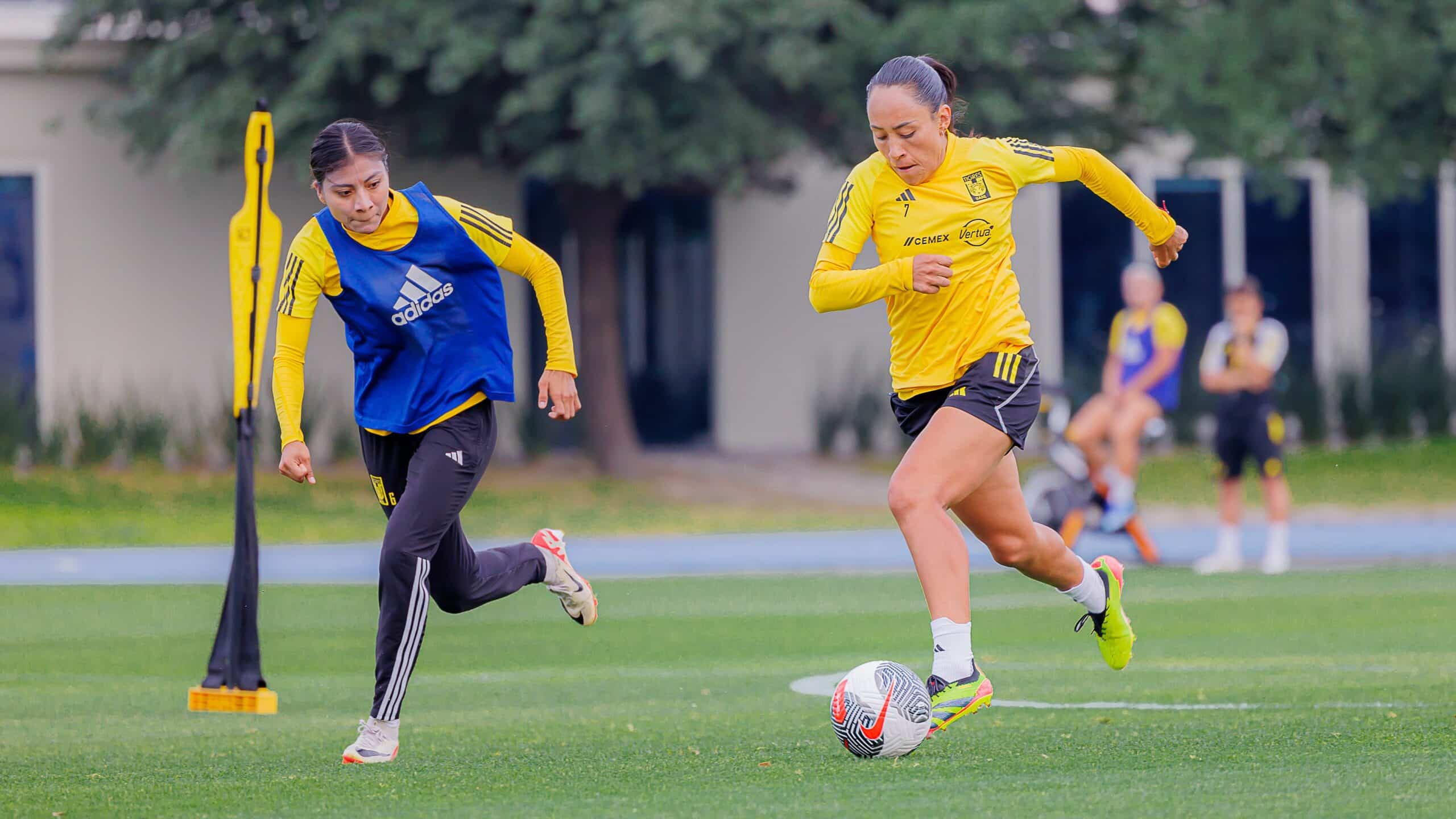 TIGRES FEM