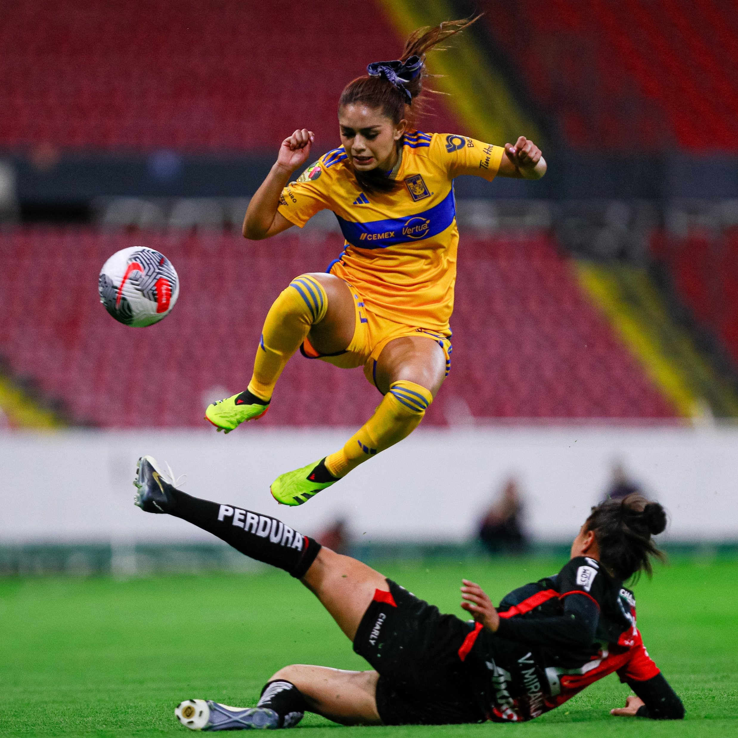JANA GUTIERREZ TIGRES