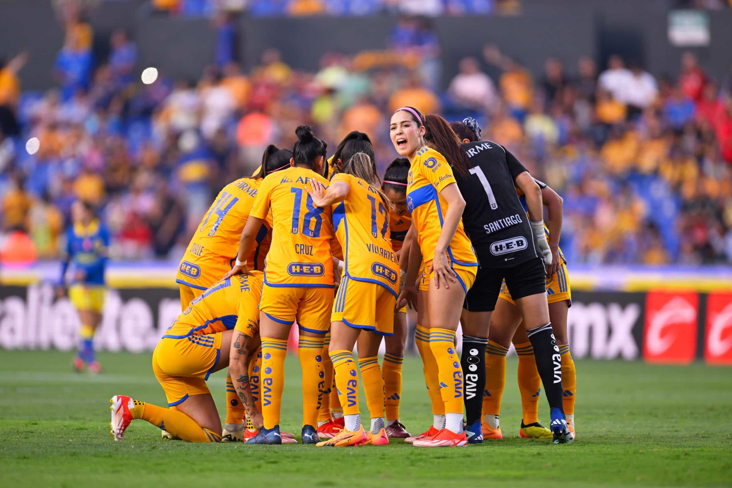 TIGRES FEMENIL 2024 CLÁSICO