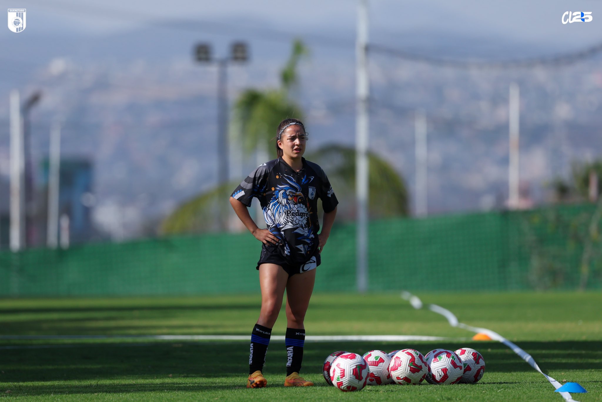 GALLOS FEMENIL CLAUSURA 2025
