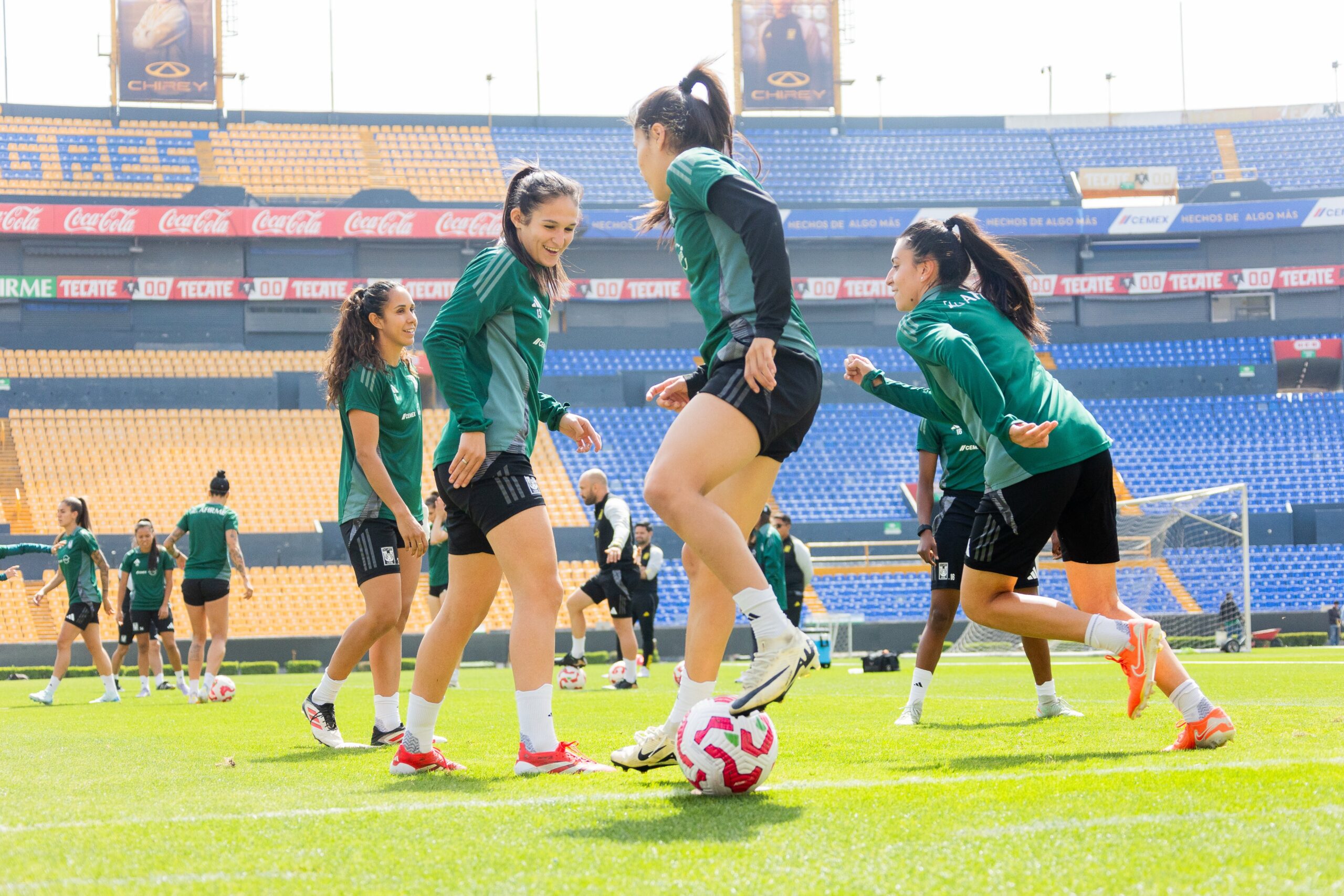 TIGRES FEMENIL