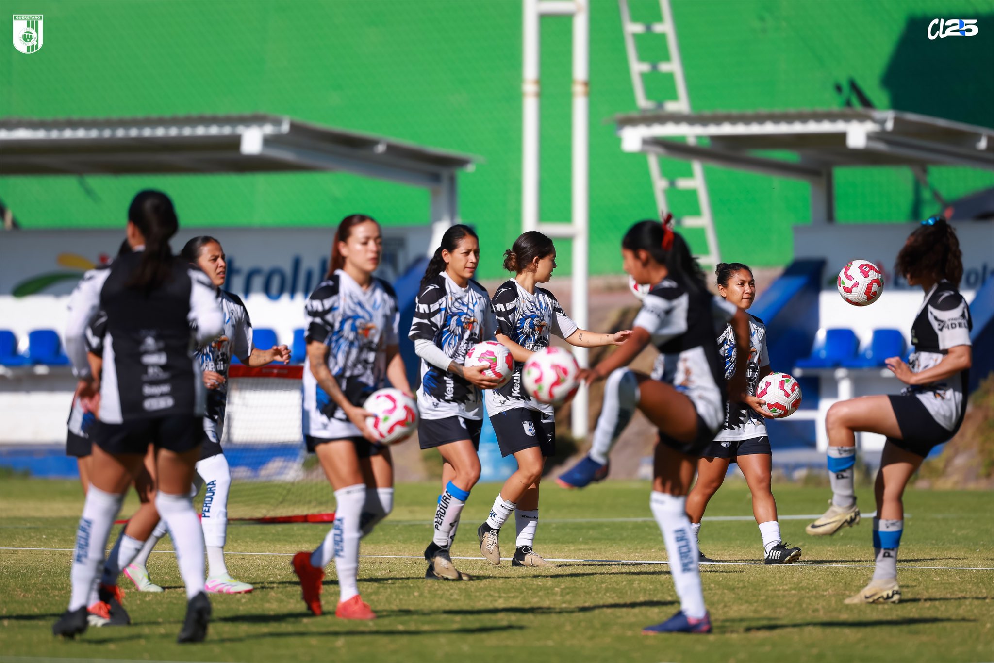 GALLOS FEMENIL CLAUSURA 2025 LIGA MX FEMENIL