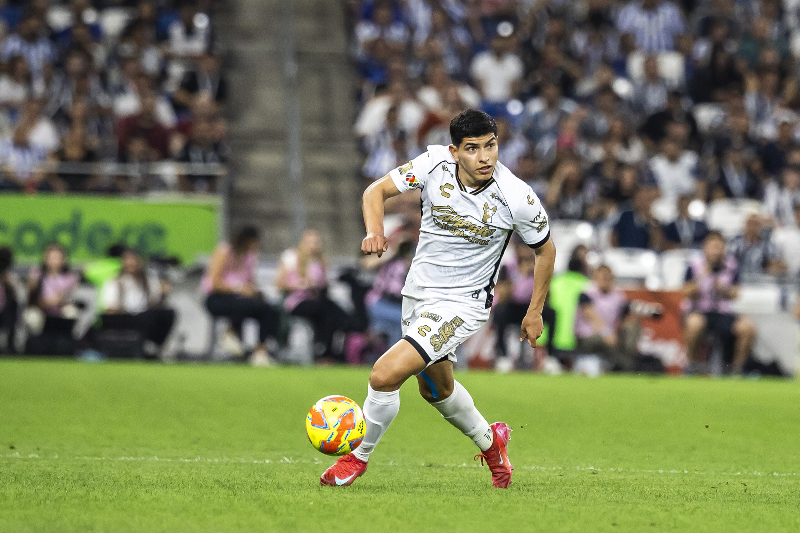 XOLOS DE TIJUANA J14 CLAUSURA 2025