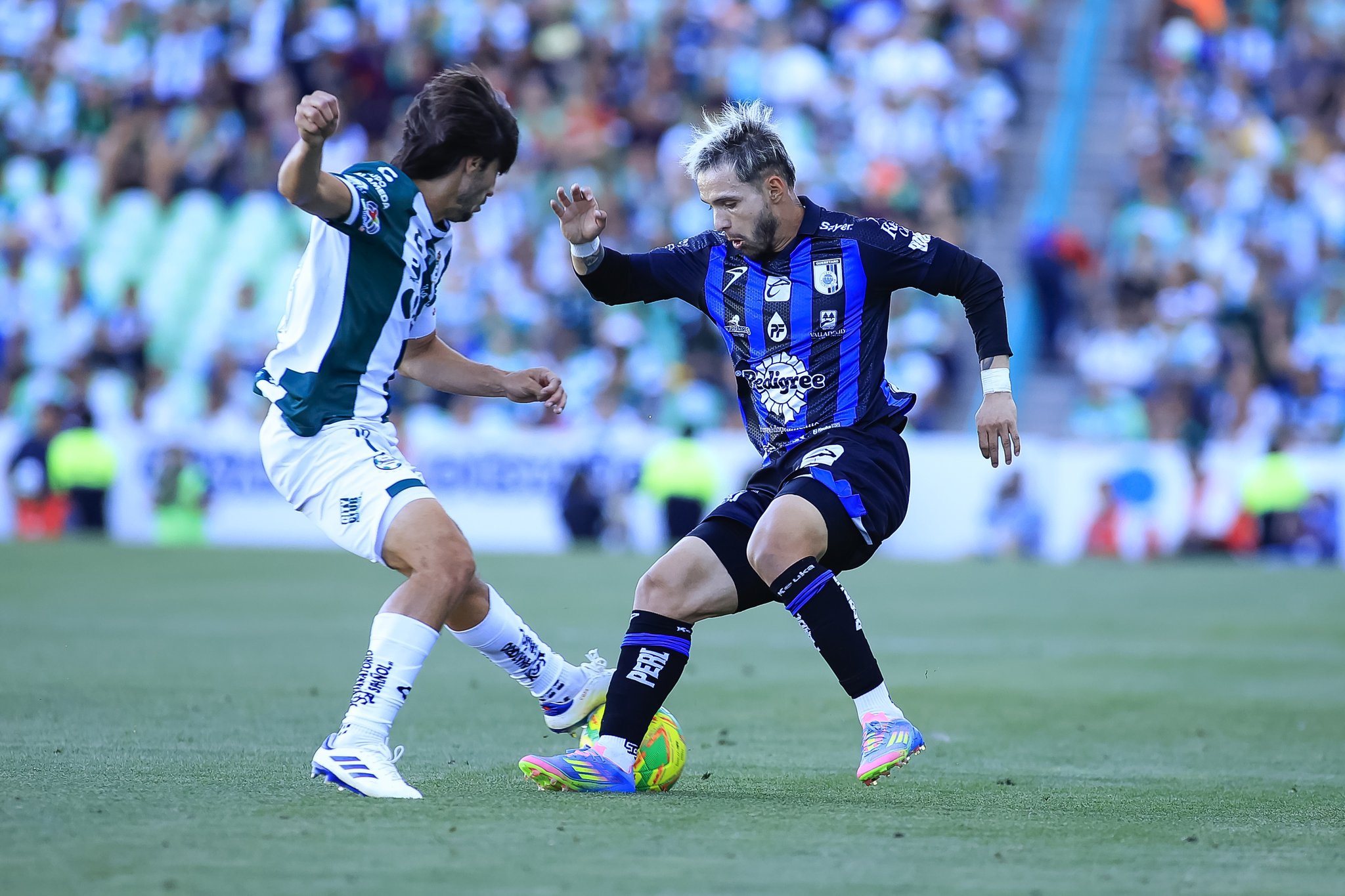 GALLOS BLANCOS VS SANTOS CLAUSURA 2025 LIGA MX