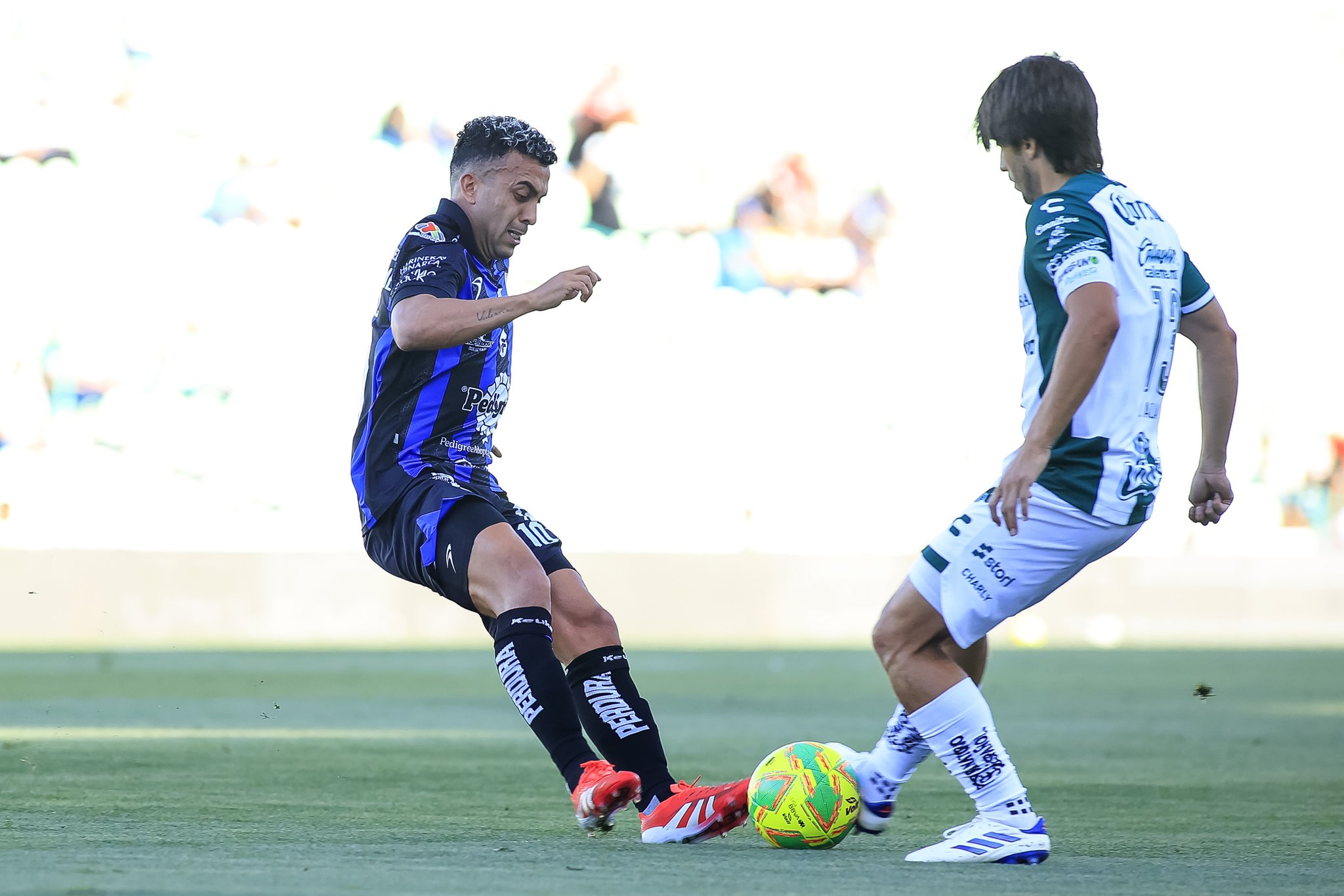 GALLOS BLANCOS VS SANTOS J15 CLAUSURA 2025