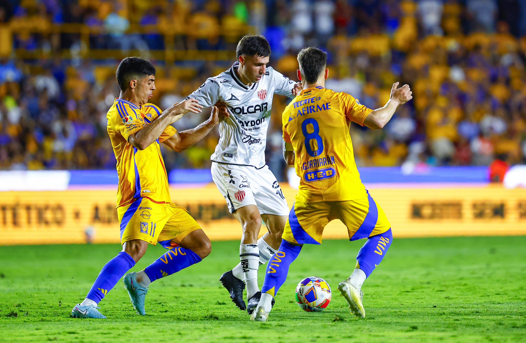 LIGA MX TIGRES VS NECAXA CL2025